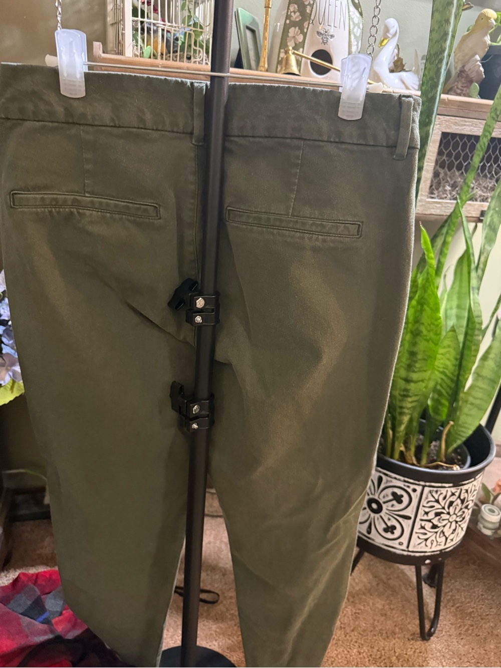 Pixie pants - Picture 2 of 4